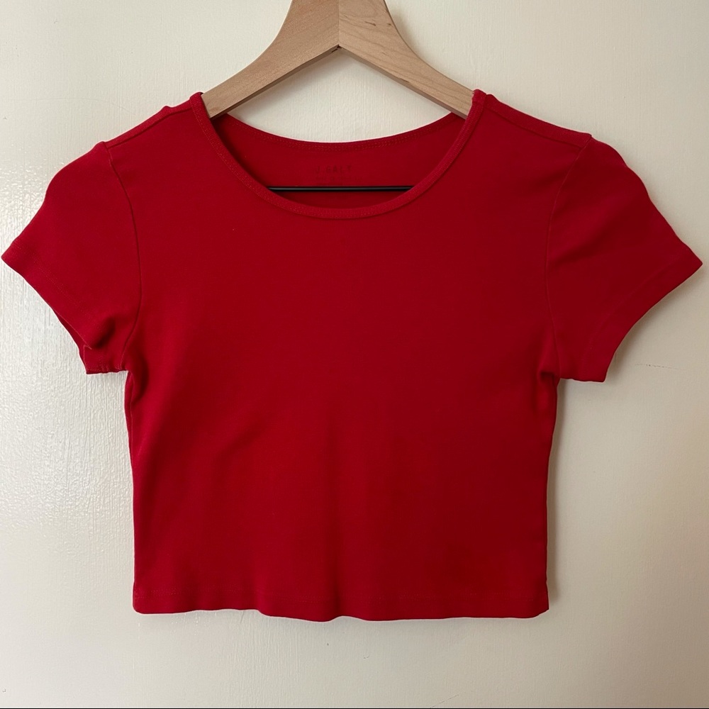 Brandy Melville crop top
